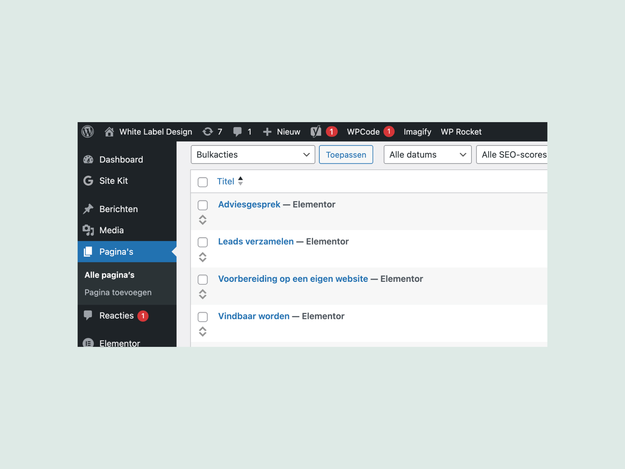 Statische paginas in wordpress